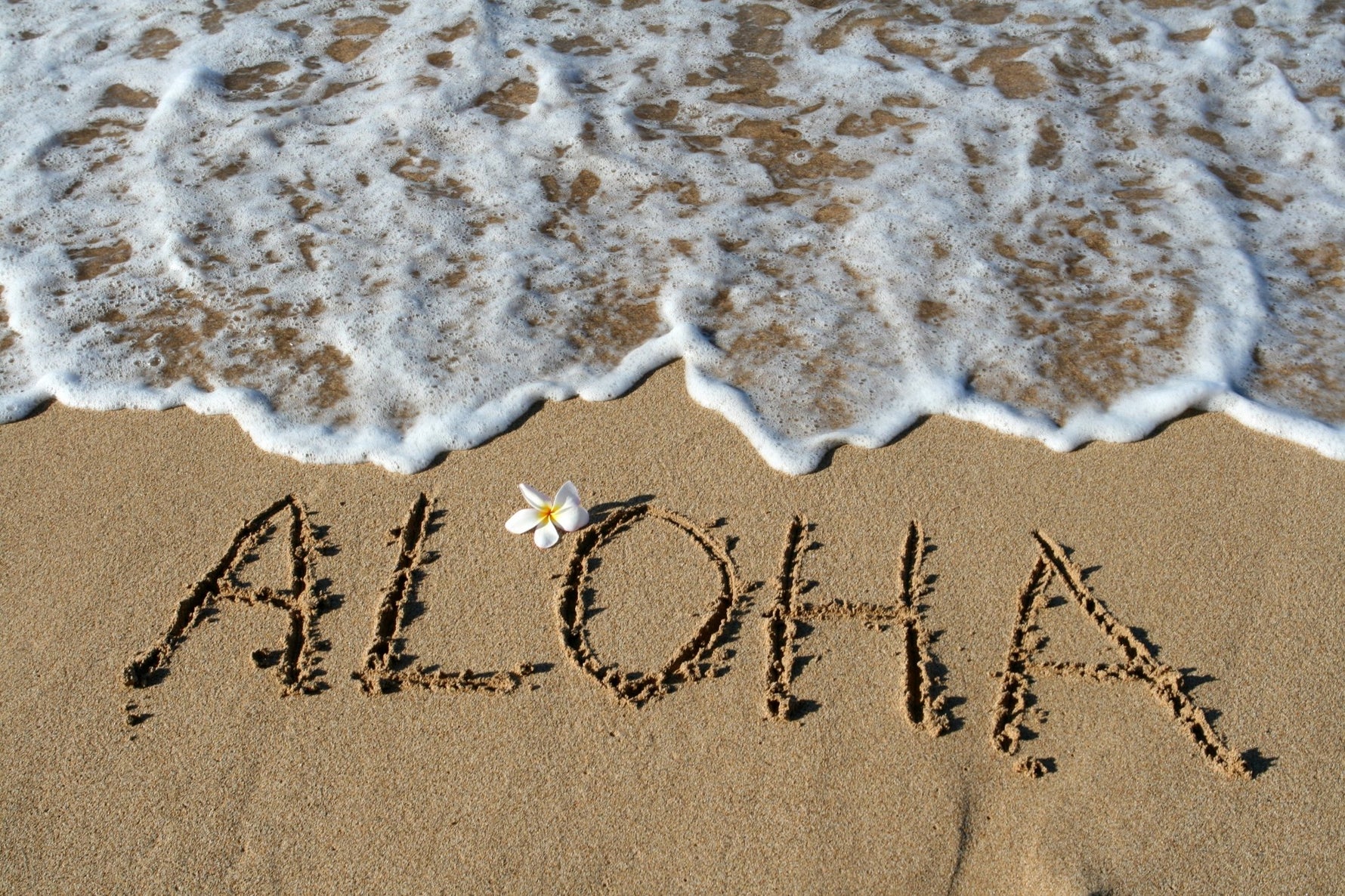 Time Out! PRWMade Takes a Quick Pause for Family and Rejuvenation - PRW Made
