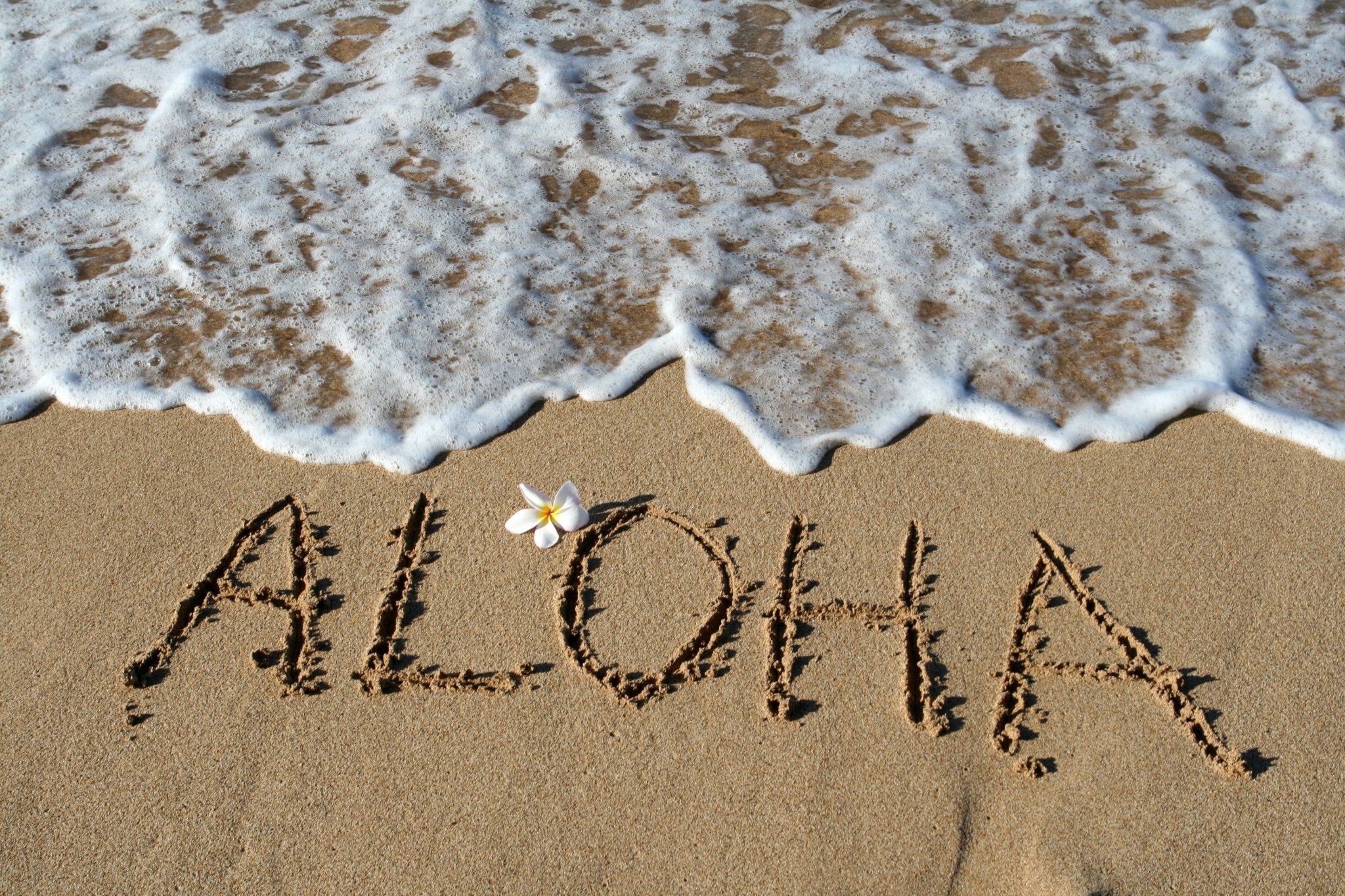 Time Out! PRWMade Takes a Quick Pause for Family and Rejuvenation - PRW Made