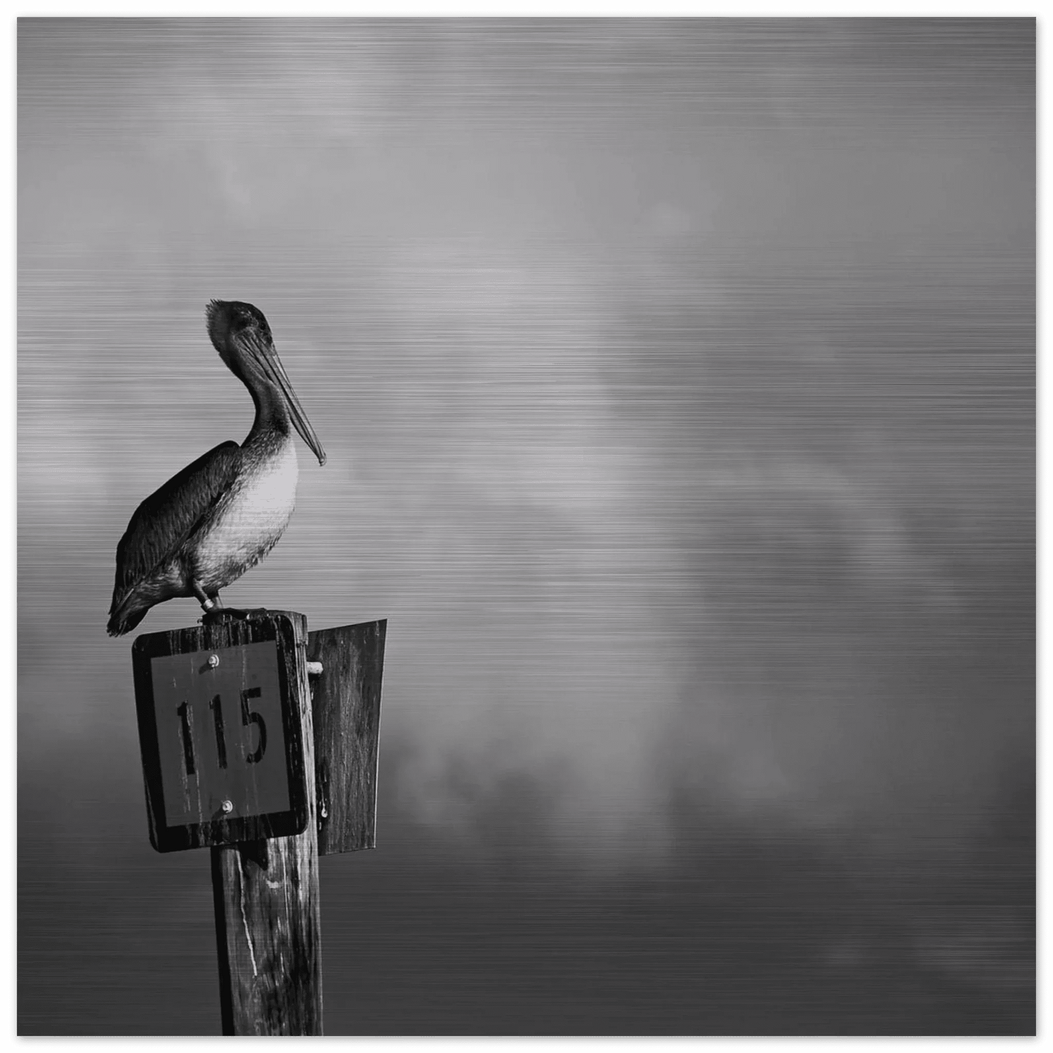 Aluminum DIBOND art prints by PRWMade with crisp photographic detail and modern metallic finish