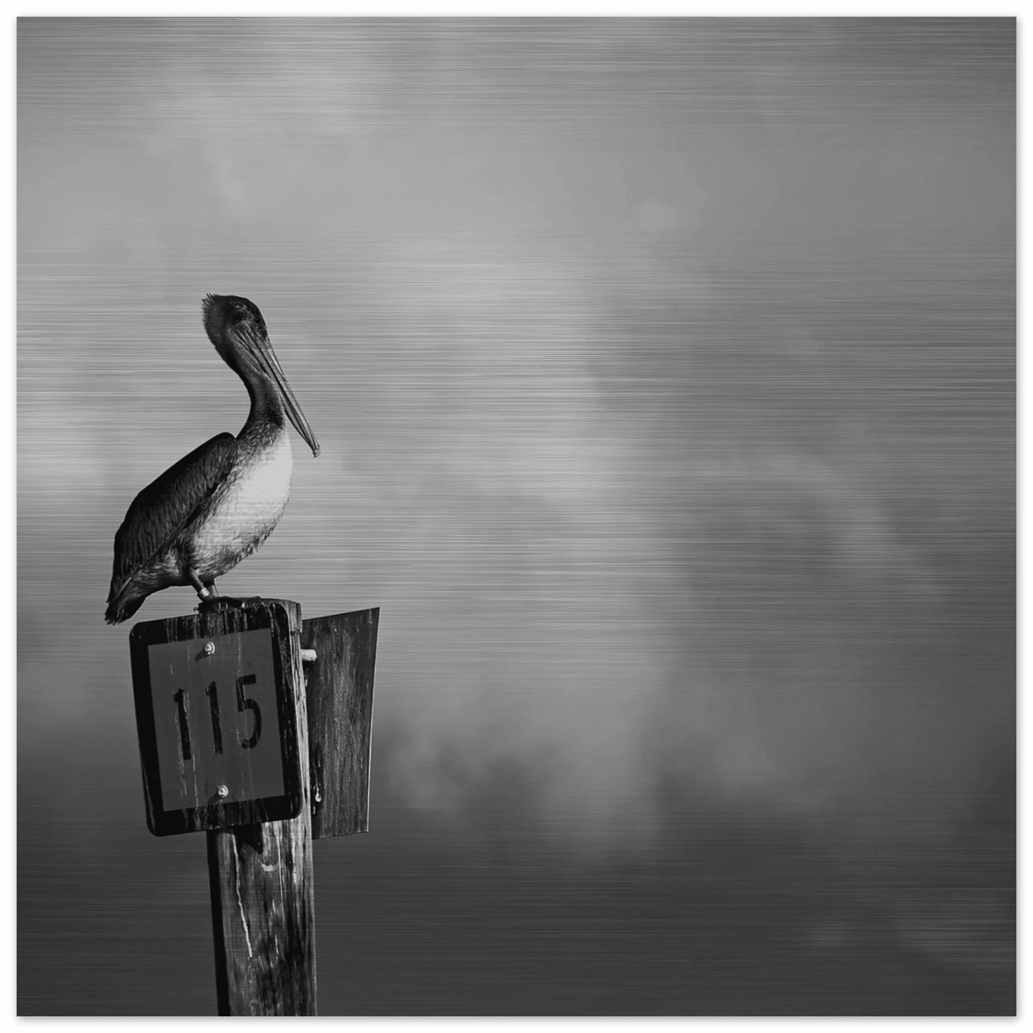 Aluminum DIBOND art prints by PRWMade with crisp photographic detail and modern metallic finish