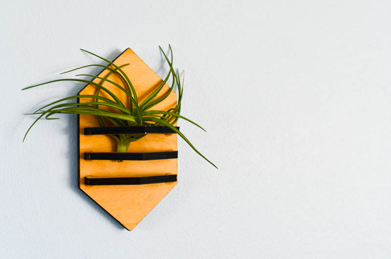 Geometric Air Plant Holder