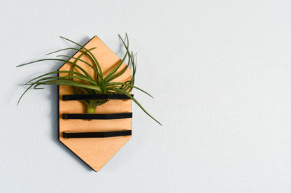 Geometric Air Plant Holder - PRW Made - Home
