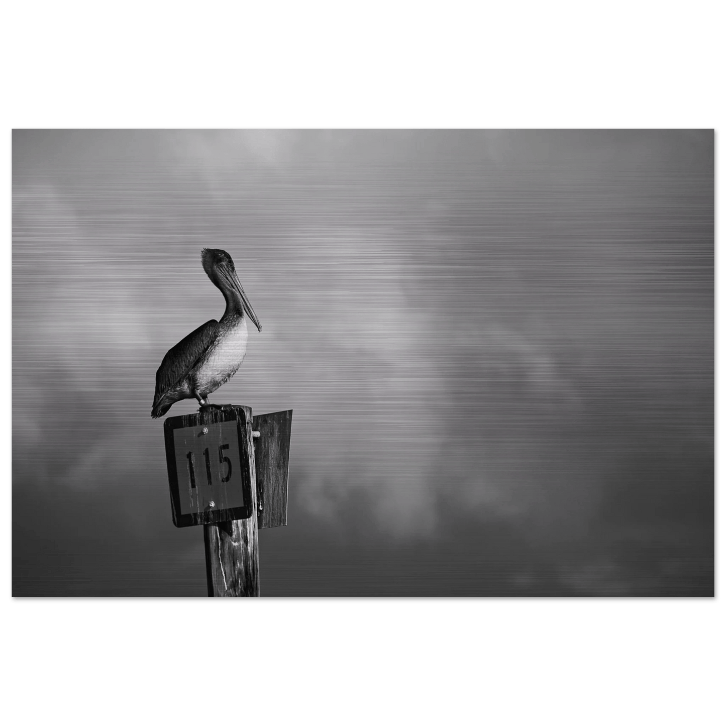 Guardian | Black & White Aluminum Print - PRW Made - Wall Art