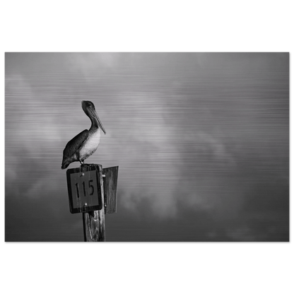 Guardian | Black & White Aluminum Print - PRW Made - Wall Art