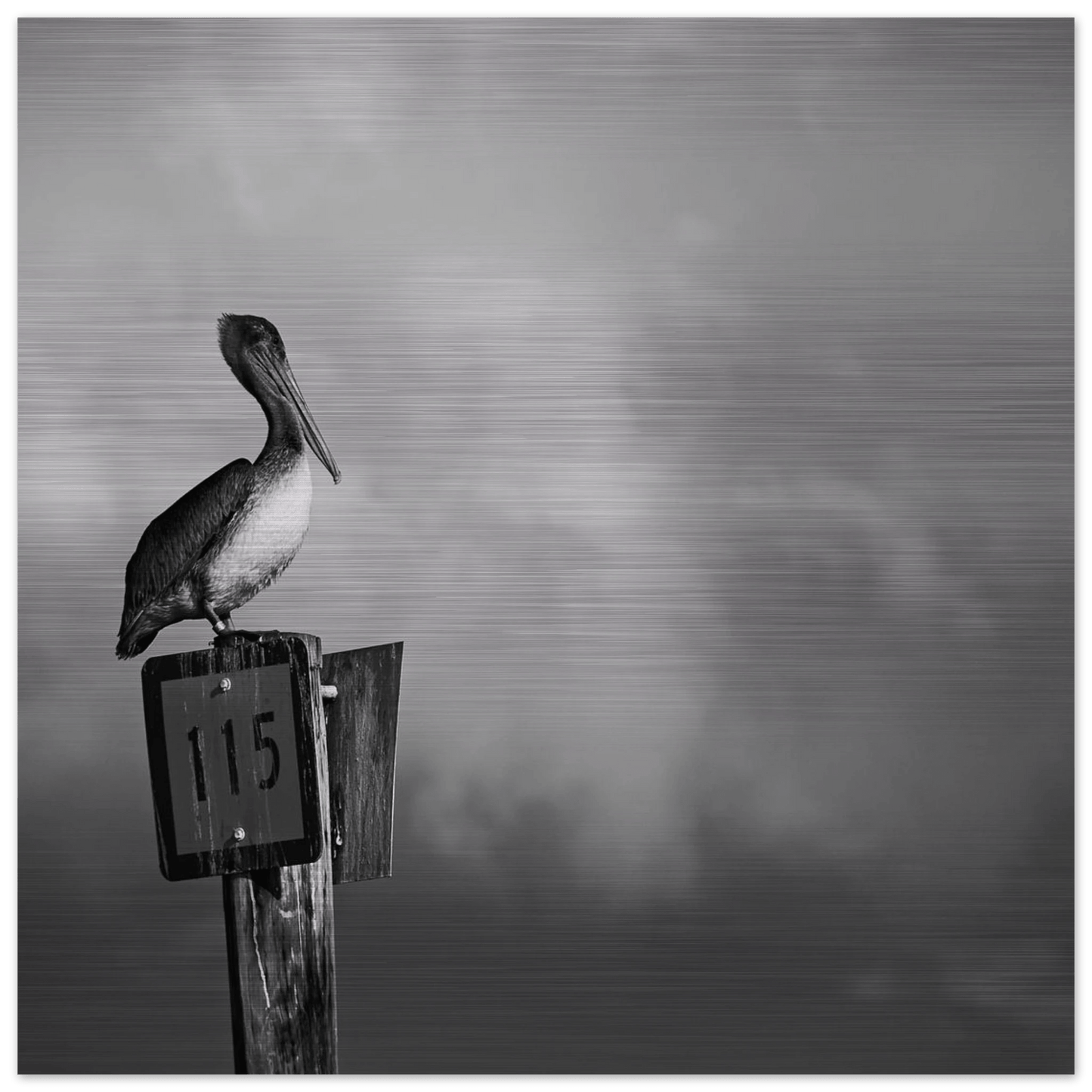 Guardian | Black & White Aluminum Print - PRW Made - Wall Art