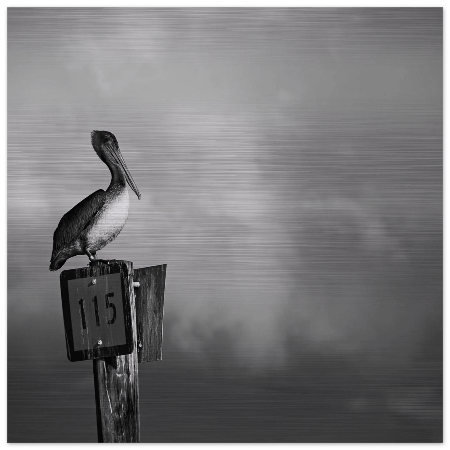 Guardian | Black & White Aluminum Print - PRW Made - Wall Art