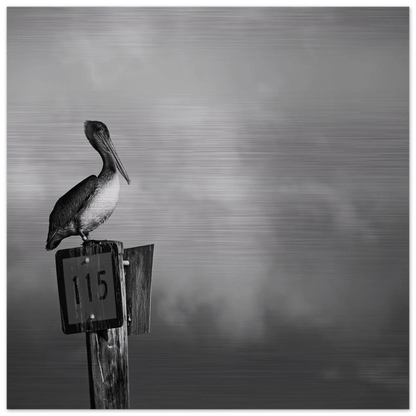 Guardian | Black & White Aluminum Print - PRW Made - Wall Art