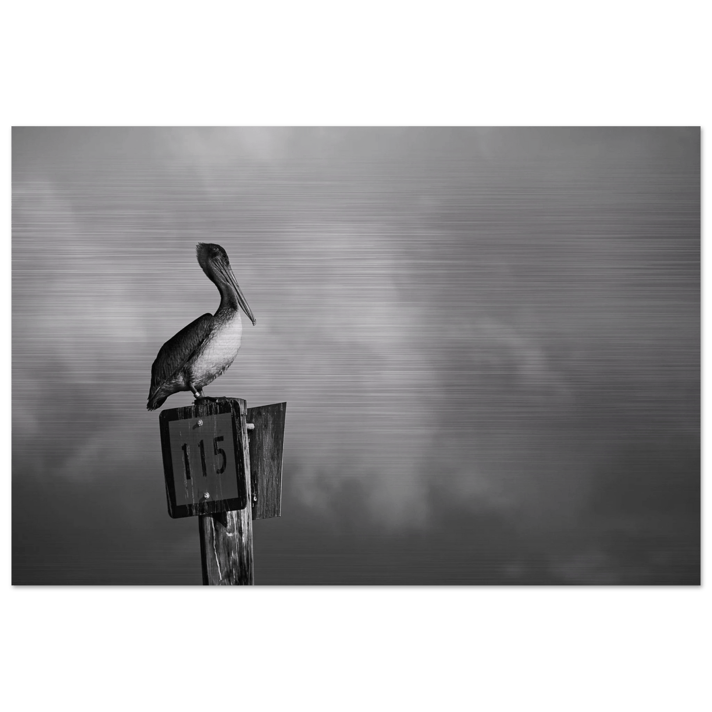 Guardian | Black & White Aluminum Print - PRW Made - Wall Art