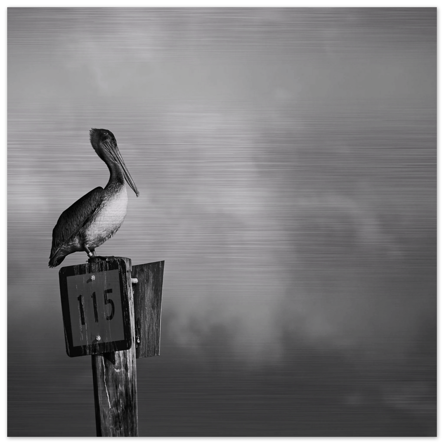 Guardian | Black & White Aluminum Print - PRW Made - Wall Art