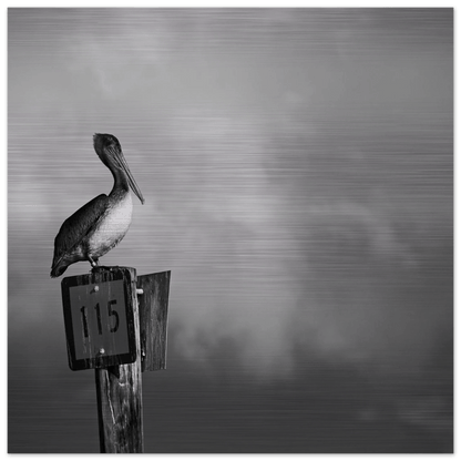 Guardian | Black & White Aluminum Print - PRW Made - Wall Art