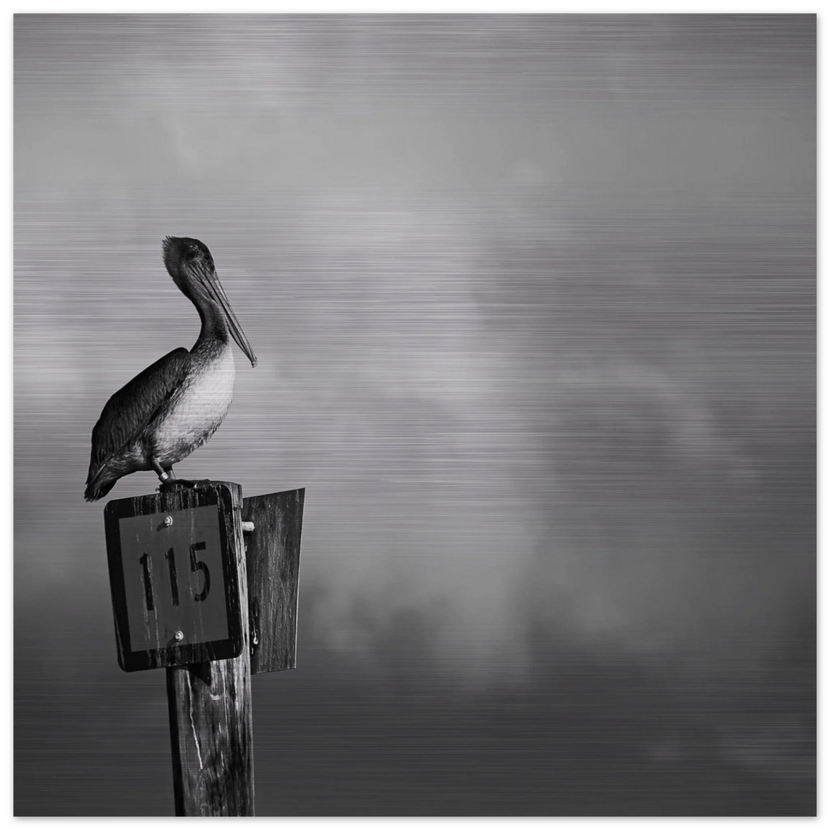 Guardian aluminum print detail, high-contrast black and white metallic finish