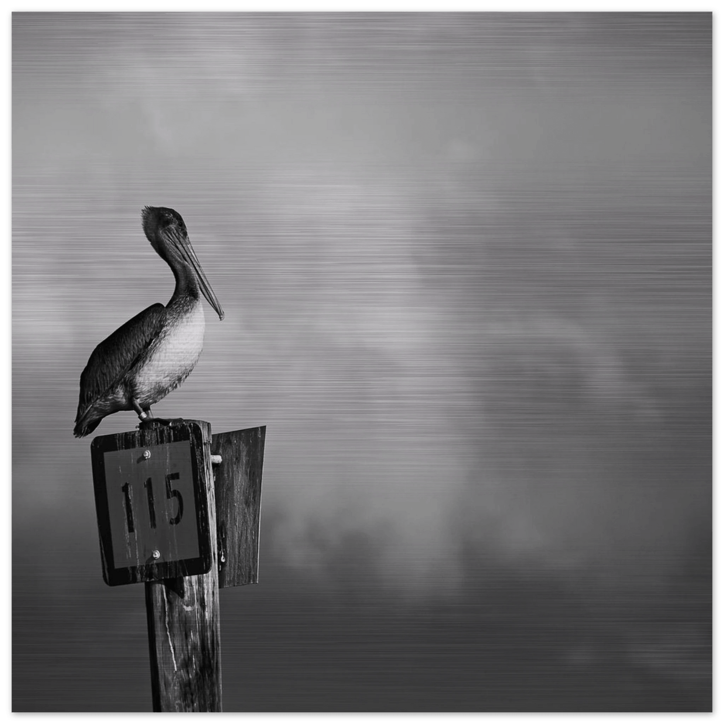 Guardian | Black & White Aluminum Print - PRW Made - Wall Art