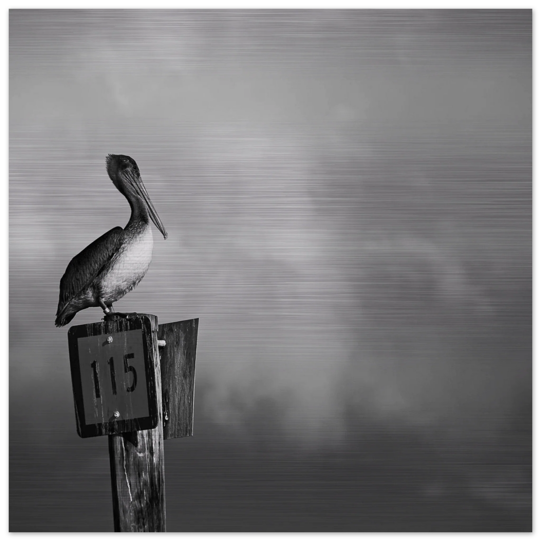 Guardian aluminum print detail, high-contrast black and white metallic finish