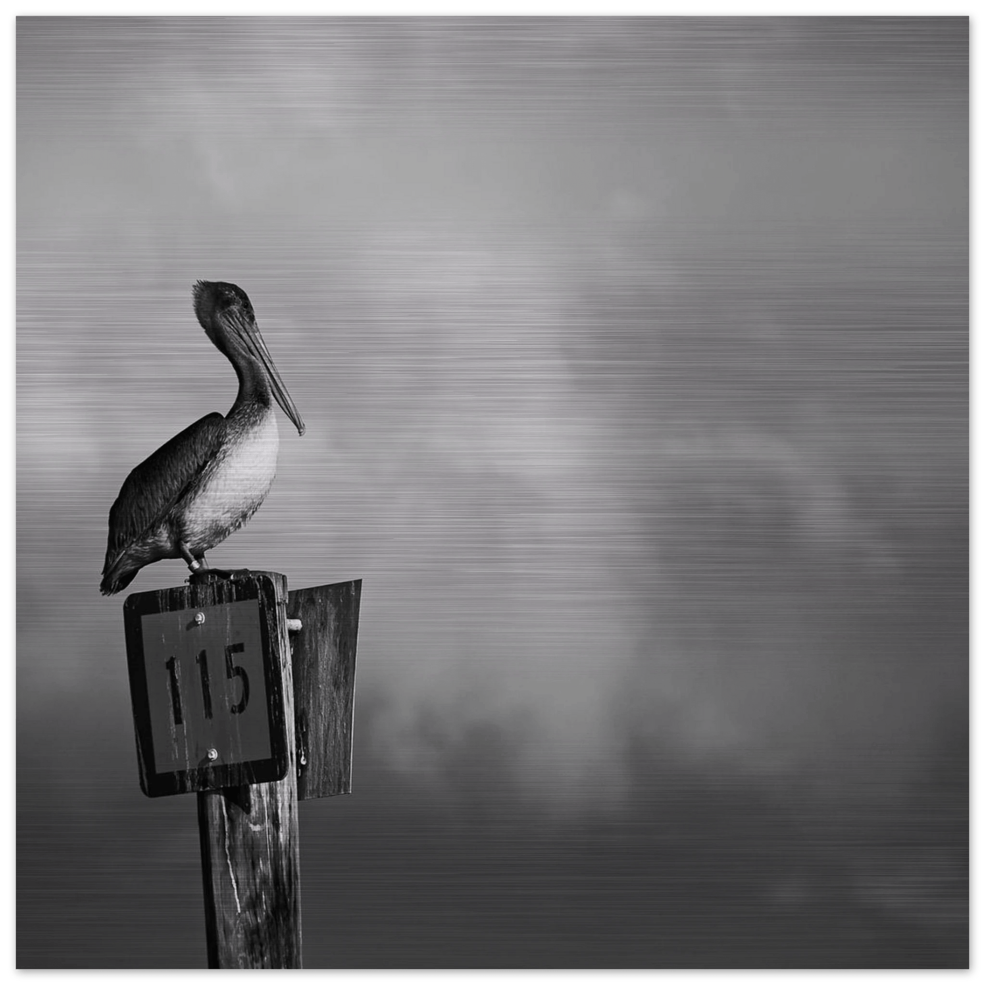 Guardian | Black & White Aluminum Print - PRW Made - Wall Art