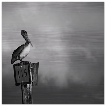 Guardian | Black & White Aluminum Print - PRW Made - Wall Art