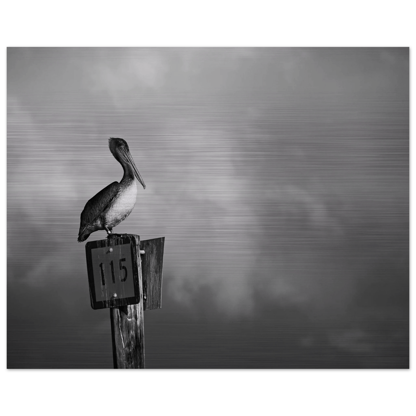 Guardian | Black & White Aluminum Print - PRW Made - Wall Art