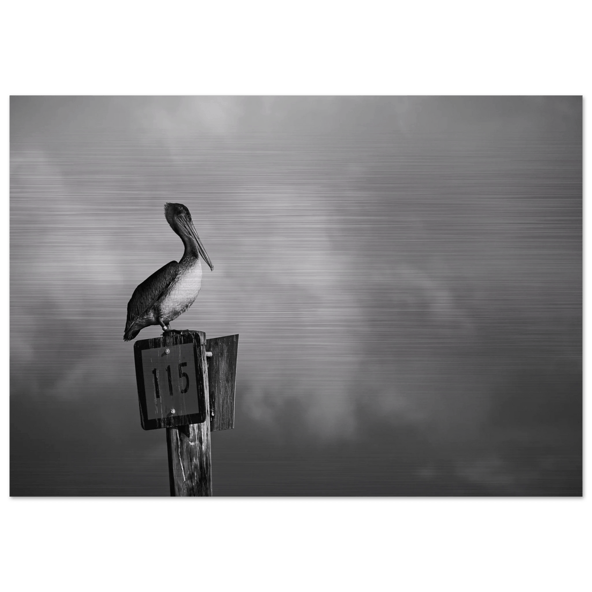 Guardian black and white aluminum print, dramatic photography on brushed aluminum