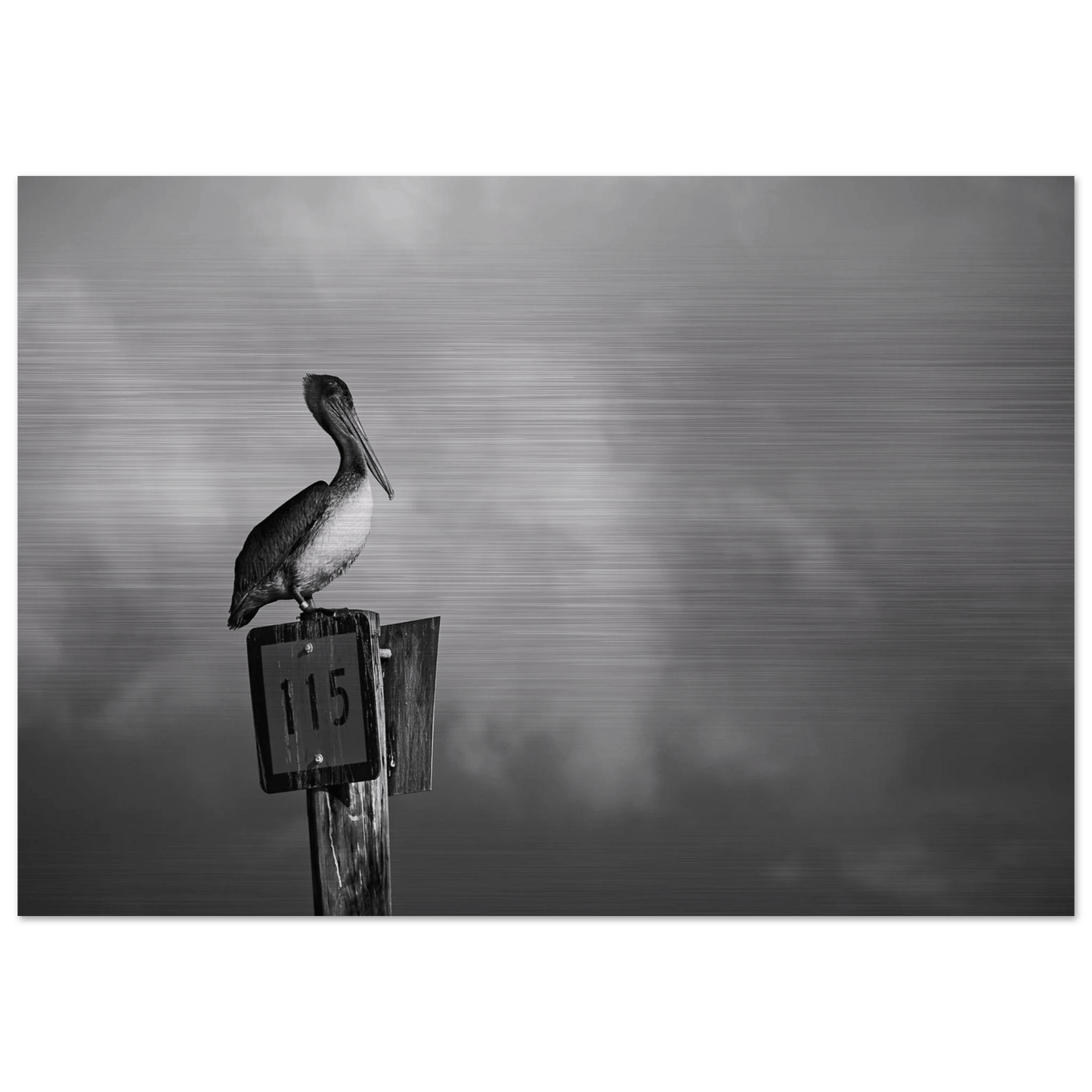 Guardian | Black & White Aluminum Print - PRW Made - Wall Art