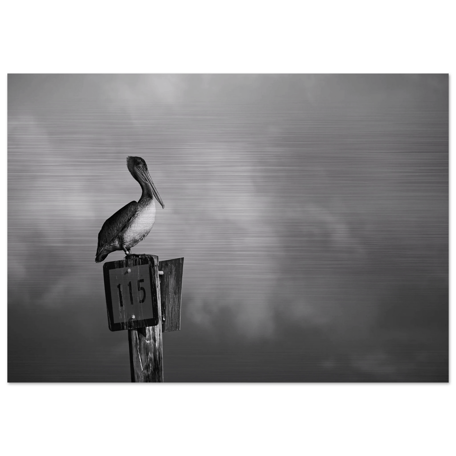 Guardian black and white aluminum print, dramatic photography on brushed aluminum