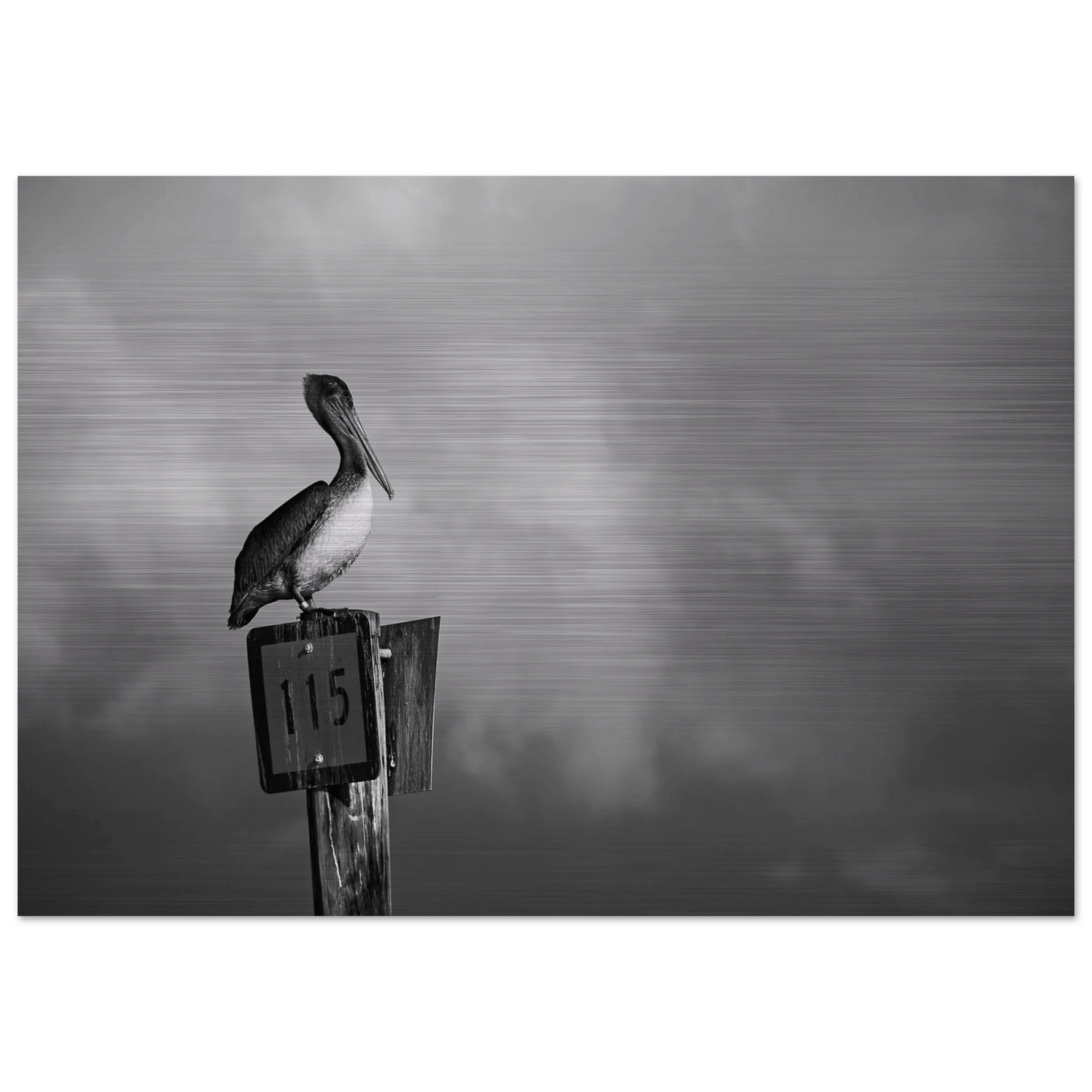 Guardian black and white aluminum print, dramatic photography on brushed aluminum