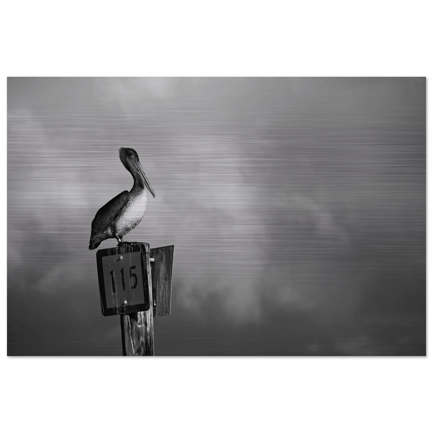 Guardian | Black & White Aluminum Print - PRW Made - Wall Art