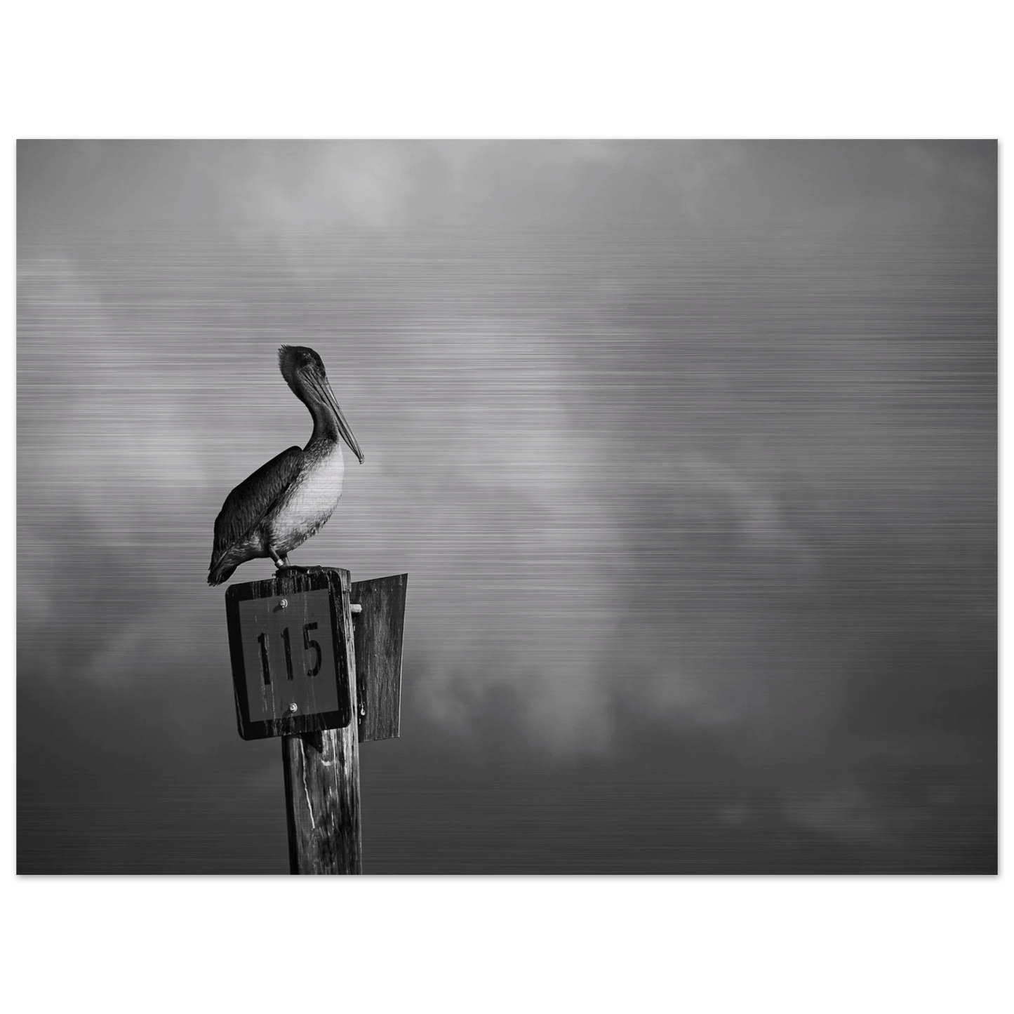 Guardian | Black & White Aluminum Print - PRW Made - Wall Art