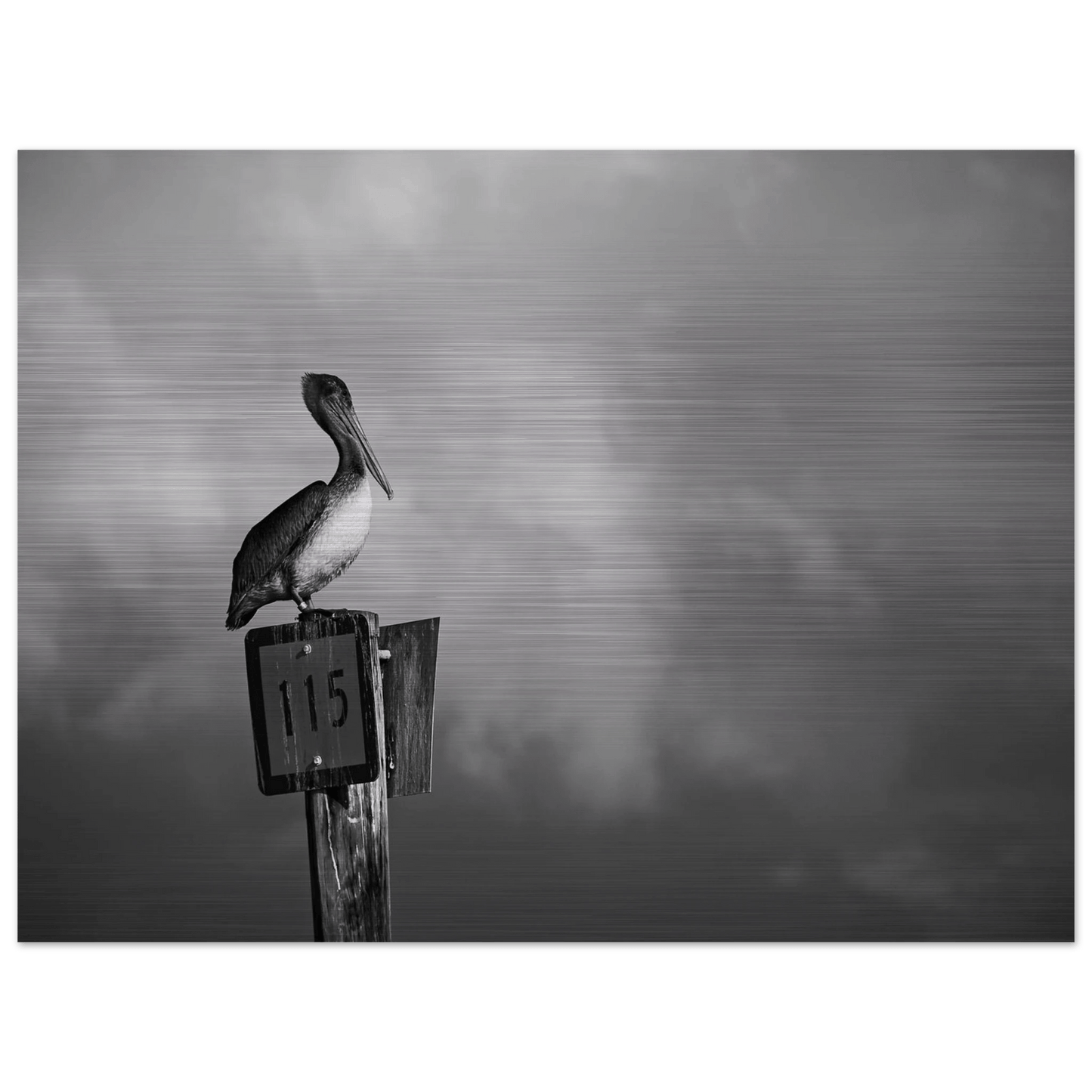 Guardian | Black & White Aluminum Print - PRW Made - Wall Art