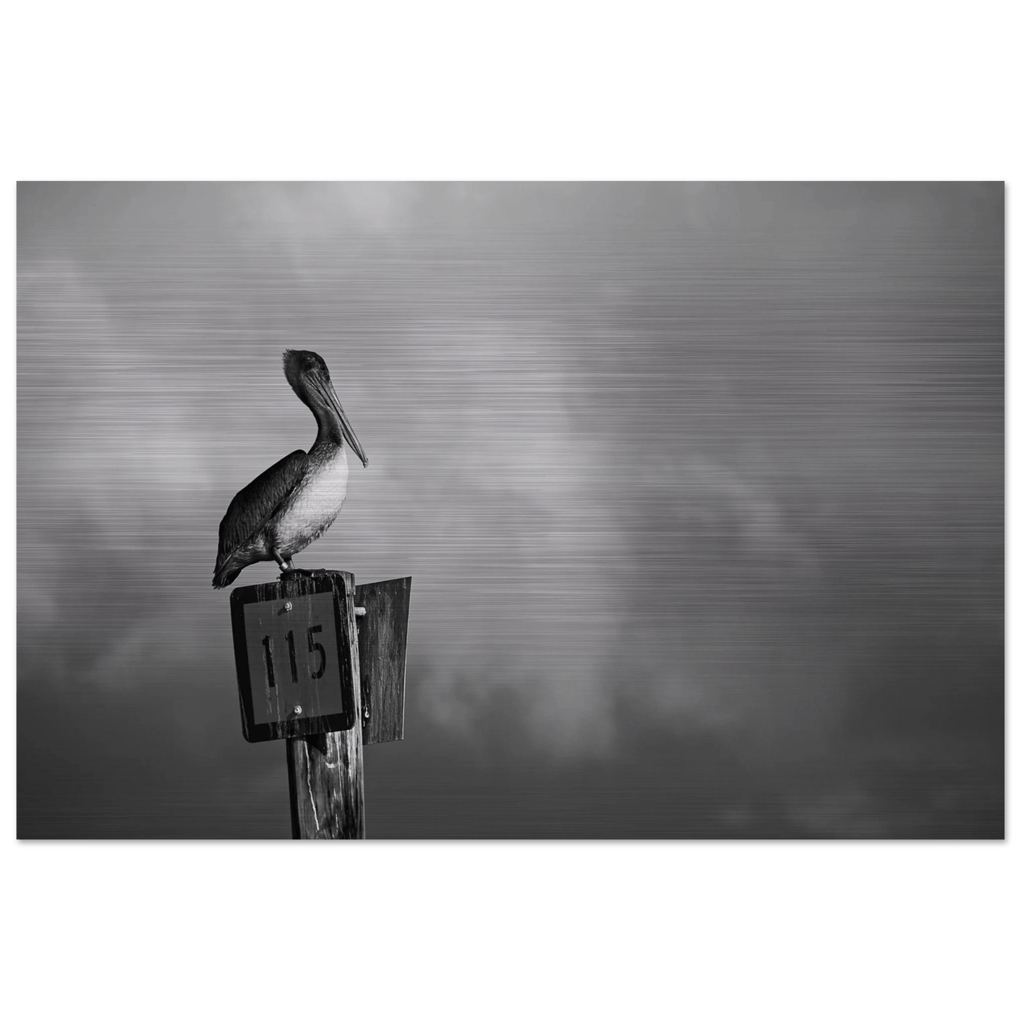 Guardian | Black & White Aluminum Print - PRW Made - Wall Art