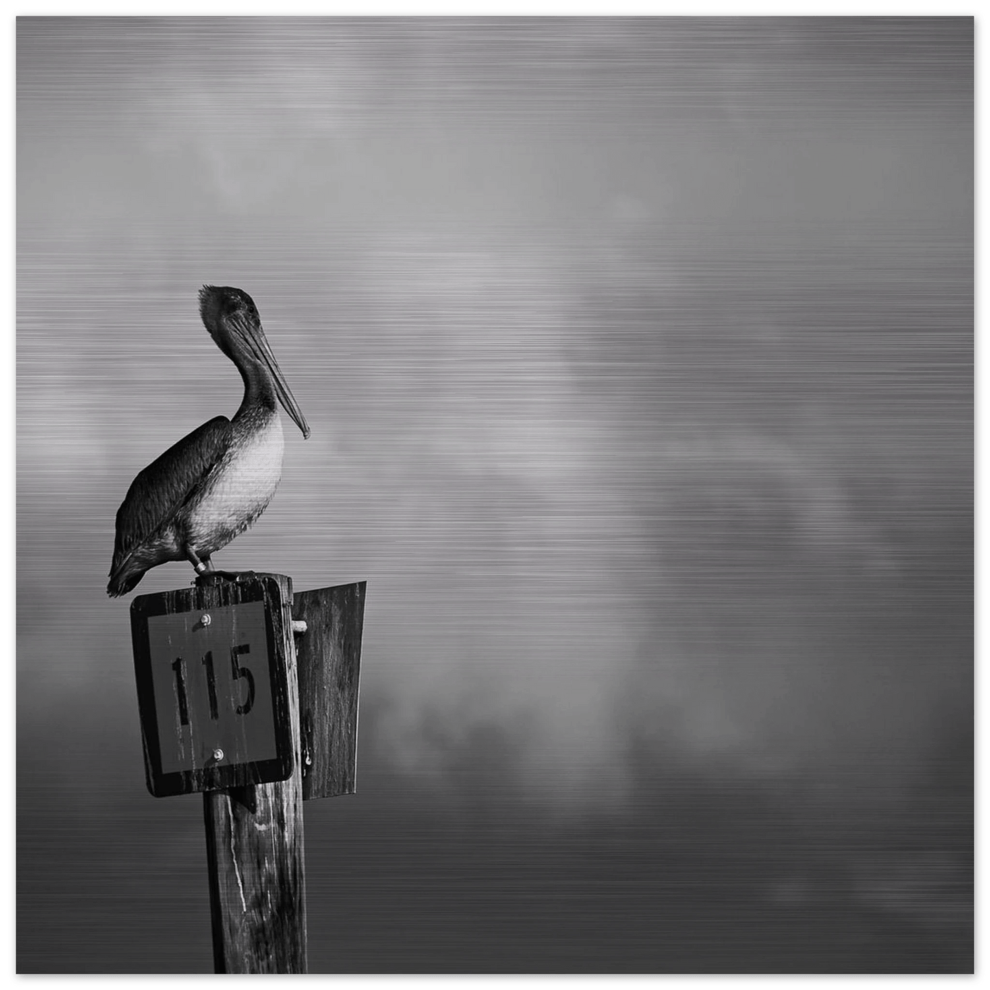 Guardian | Black & White Aluminum Print - PRW Made - Wall Art