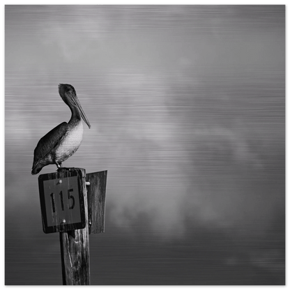 Guardian | Black & White Aluminum Print - PRW Made - Wall Art