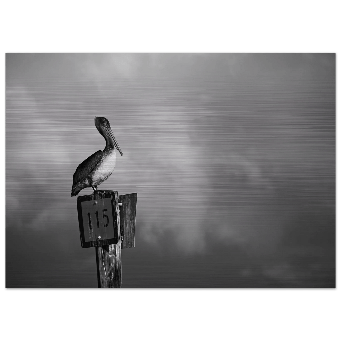 Guardian | Black & White Aluminum Print - PRW Made - Wall Art