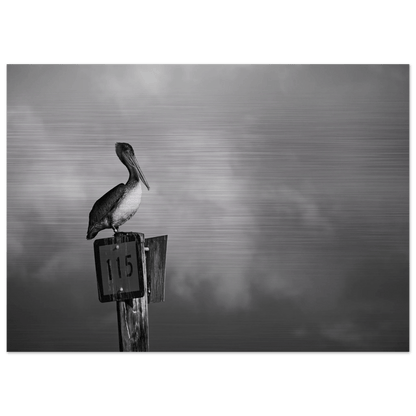 Guardian | Black & White Aluminum Print - PRW Made - Wall Art