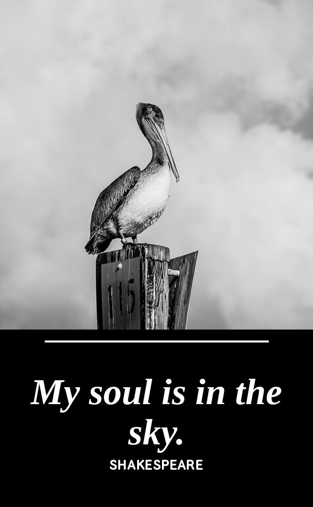 UV printed metal bookmark artwork, a lone pelican perched against a moody coastal sky, paired with the Shakespeare line My Soul Is in the Sky, by PRWMade